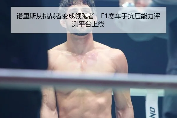 nuo-li-si-cong-tiao-zhan-zhe-bian-cheng-ling-pao-zhe-sai-che-shou-kang-ya-neng-li-ping-ce-ping-tai-shang-xian-2-399.jpg
