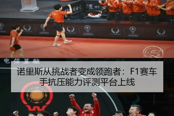 nuo-li-si-cong-tiao-zhan-zhe-bian-cheng-ling-pao-zhe-sai-che-shou-kang-ya-neng-li-ping-ce-ping-tai-shang-xian-3-535.jpg